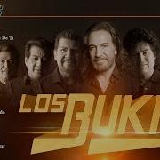 Bukis