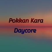 Pokkan Kara Meme Song