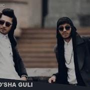 Osha Guli Cover