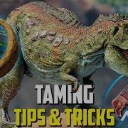 Tips For Creators