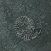 Ludovico Einaudi Einaudi Fossils Visualiser