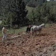 Там За Лісом За Лугом Ходить Козак За Плугом