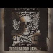 Ote Feat Divty Tigerblood Jewel I M Indestructible Tigerblood Jewel Remix