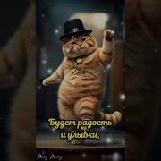 Музыкальное Приветствие