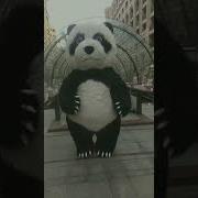 Panda Vay Vay Mp3