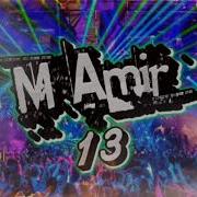 M Amir13