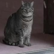 А Сердцу Хочется Любви Такой Большой И Настоящей