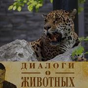 Диалог О Животных