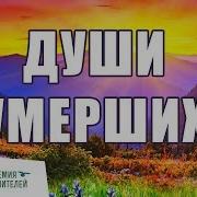 Николай Пейчев Медитация На Отпускание Умерших Академия Целителей