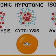 Hypertonic