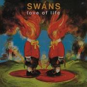 Swans No Cure For The Lonely