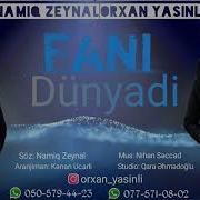 Namiq Zeynal Ft Orxan Yasinli Fani Dunyadi 2020