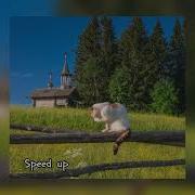 Арсен Мирзоян Винни Пух Speed Up
