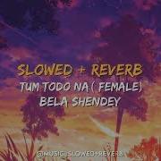 Tum Todo Na Slowed And Reverb Lofi Songs Female Version Lofl Vibes