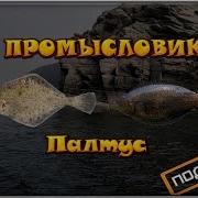 Русская Рыбалка 3 99 Промысловик 5 Палтус