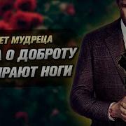 Не Делай Добро Не Получишь Зла