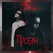 Фир Пробач