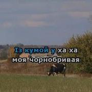 Варенички А Мій Милий Вареничків Хоче Минус Мінус