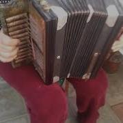 Карачаевская Гармошка