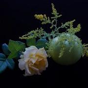 Нежная Лечебная Музыка Для Разгрузки Левого Полушария И Гармонизации