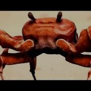 10 Часов Крабы Флексят