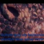 Top 5 Dünýäniň Iň Gorkunç Ýerleri Bilmek Gyzykly