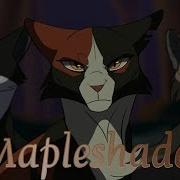 Mapleshade Ashfur Monster