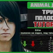 Три Полоски На Гитаре Акустика