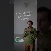 Нота Соль Диез Первой Октавы