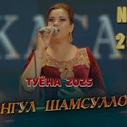 Туйена Нав 2024 Мрз