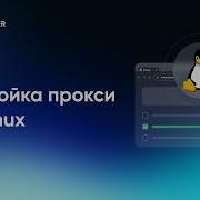 Как Настроить Прокси В Kali Linux