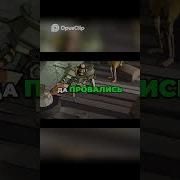 Эта Сука Сильна Она Убила Рыцаря