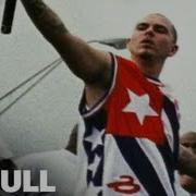 Pitbull Culo