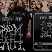 Napalm Death Best