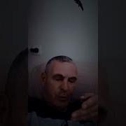Нос Забит Глаза Слезятся Очень Хочется