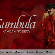 Xamdam Sobirov Sumbula Mp3