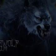 Werewolf Sounds