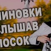 Малиновки Заслышав Голосок Под Баян Поет Вячеслав Абросимов