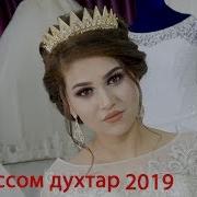 Шайдон 2019 Хилолиддин Нигина Рассом Духтар 2019