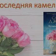 Сара Джио Последняя Камелия