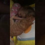 Просыпайся В Школу Пора