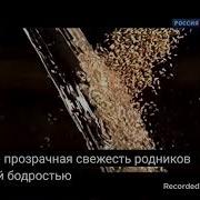 Квас Русский Дар Реклама 2009