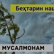 Нашиди Точики Ман Мусалмонам