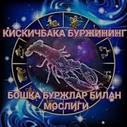 Qisqichbaqa Ayol Chayon Erkak Turmush
