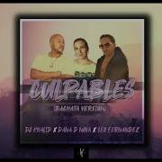 Culpables Dana D Nova Seo Fernandez Bachata Version