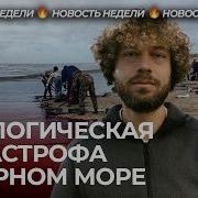 1 Декабря 2024 Года Краснодар Ковчег
