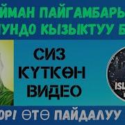 Нурулло Кары Сулайман Пайгамбар