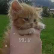 Алëна Швец Котëнок Speed Up