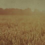 Cornfield Chase Piano Cello Version Michael Forster