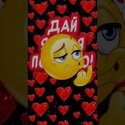 Дай Я Тебя Поцелую Прикол